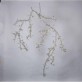 AM1330 BLOSSOM